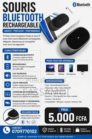 Souris Bluetooth Rechargeable