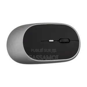 Souris Bluetooth Rechargeable