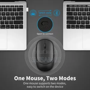 Souris Bluetooth Rechargeable