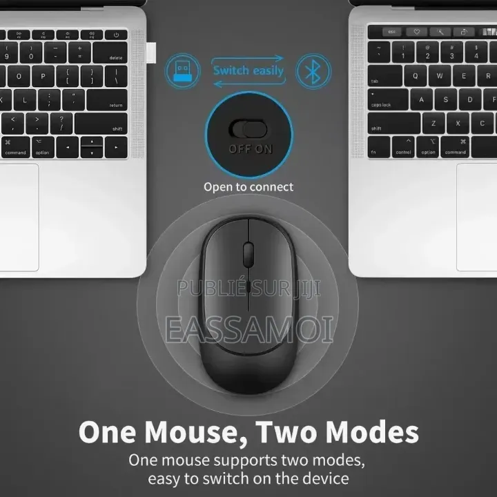 Souris Bluetooth Rechargeable
