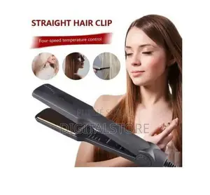 Lisseur De Cheveux