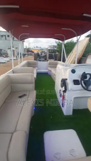 Bateau Plaisance Ponton Boat À Louer 350mil Non Inclu Le Carburant