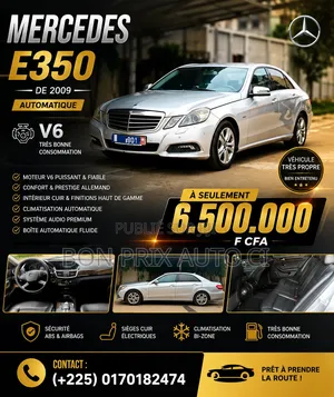 Mercedes-Benz E350 Base 4dr Sedan RWD (3.5L 6cyl 7A) 2009 Gris