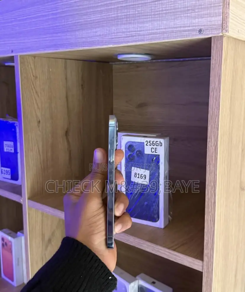 Nouveau Apple iPhone 13 Pro Max 256 GB Autre
