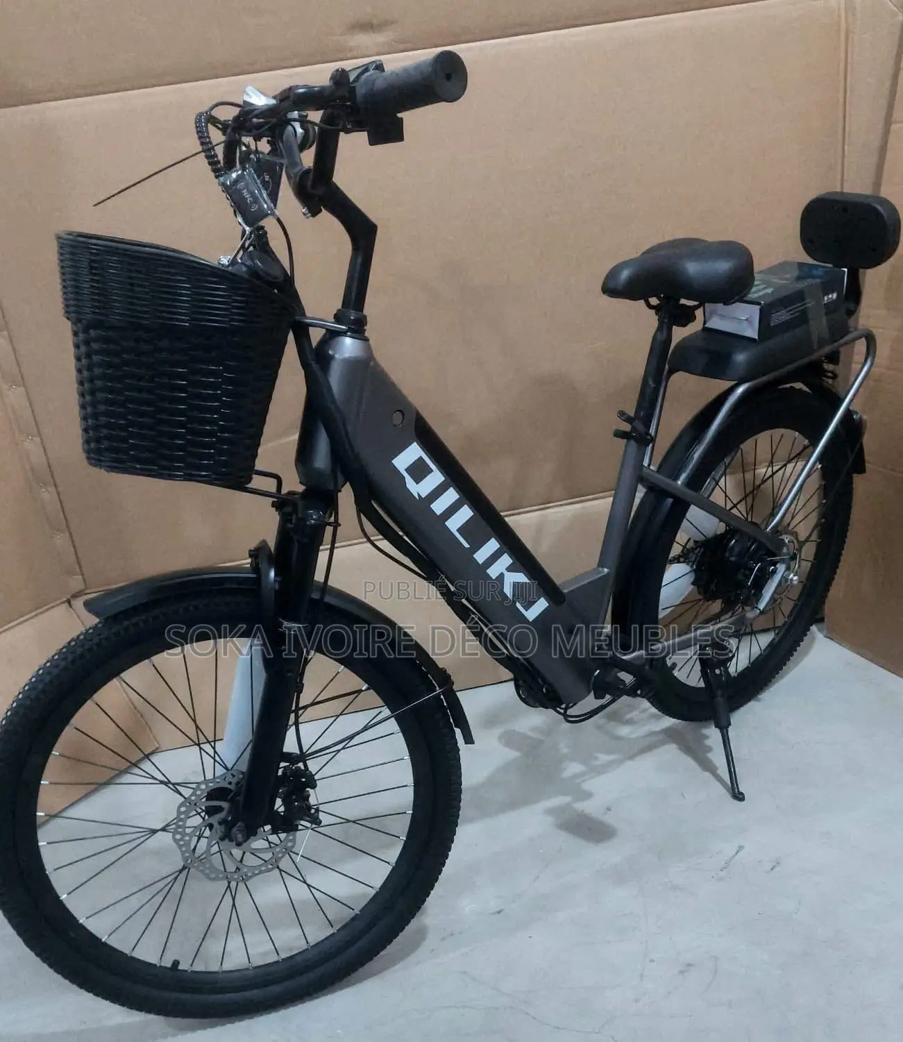 Vélo Électrique Rechargeable