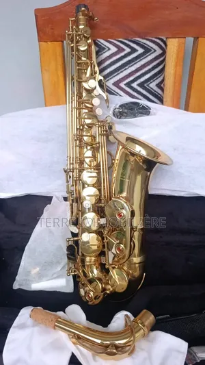 Saxophone À Vendre