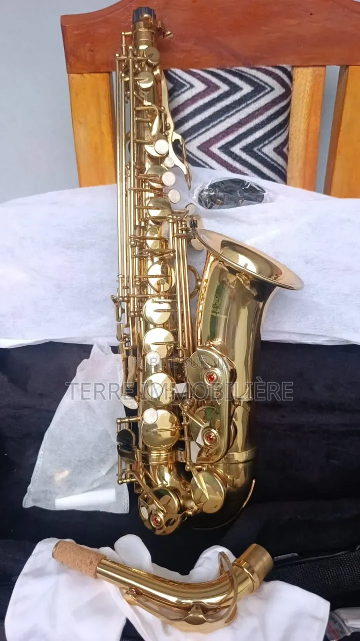Saxophone À Vendre