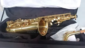 Saxophone À Vendre