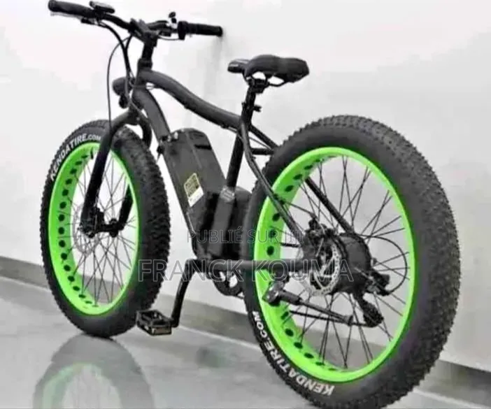 Veloelectrique