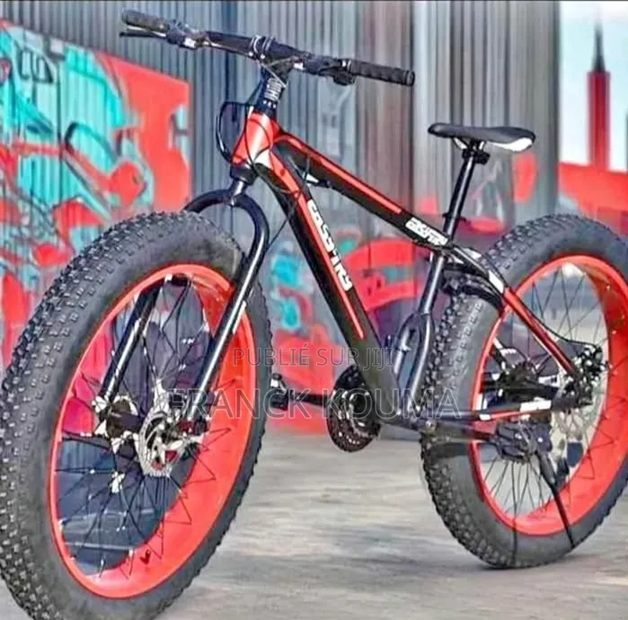 Veloelectrique