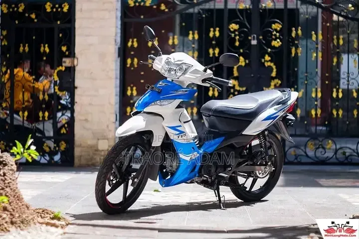 Nouveau TVS Rockz 125 2024 Autre