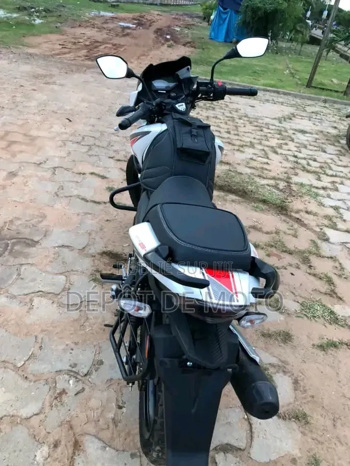 Nouveau TVS Apache 180 RTR 2025 Blanc