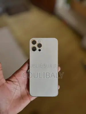 Nouveau Apple iPhone 16 Pro Max 256 GB Blanc
