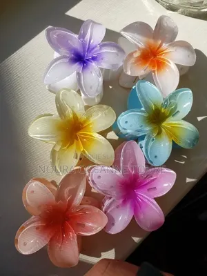 Accessoires Cheveux
