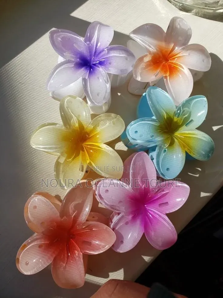 Accessoires Cheveux