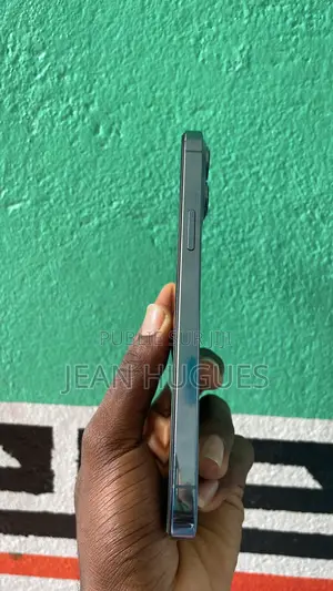 Apple iPhone 13 Pro Max 256 GB Bleu