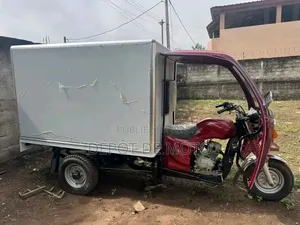 Nouveau Tricycle Autre 2025 Rouge