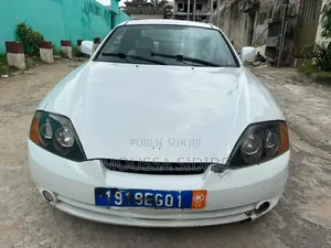 Hyundai Dynasty 2002 Blanc