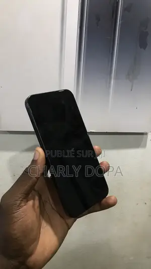 Apple iPhone 15 Pro Max 256 GB Noir