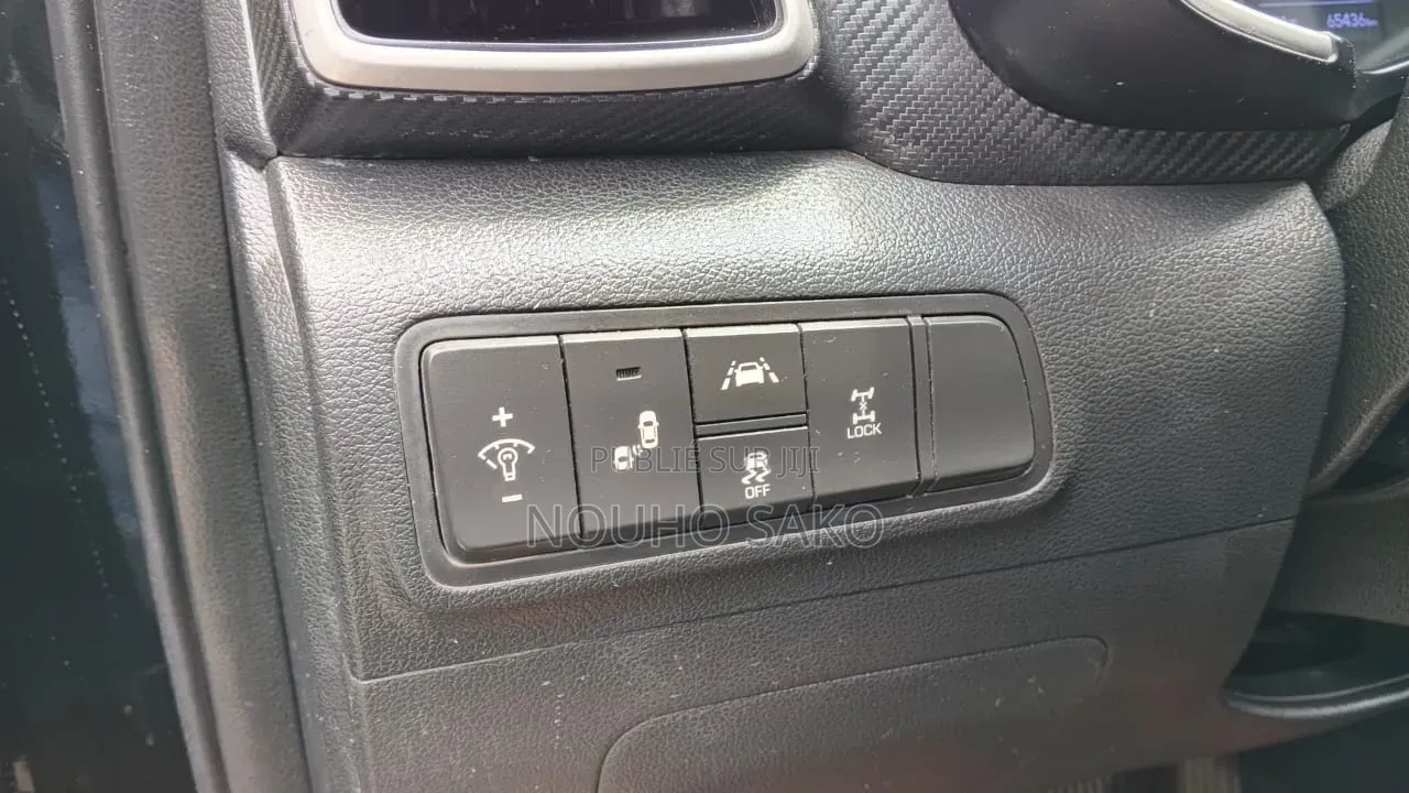 Hyundai Santa Fe 2019 Noir