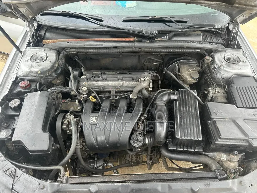 Peugeot 406 Coupe 2000 Gris