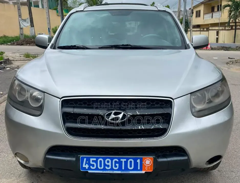 Hyundai Santa Fe 2006 Gris