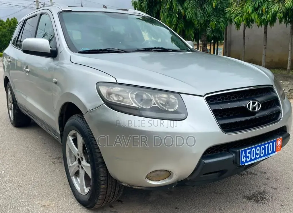 Hyundai Santa Fe 2006 Gris