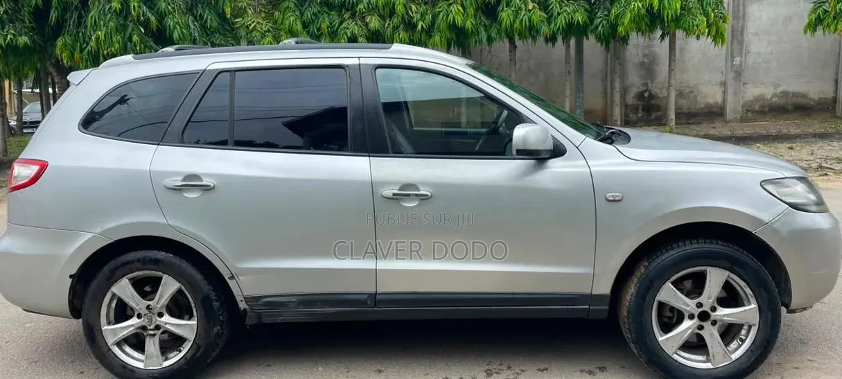 Hyundai Santa Fe 2006 Gris