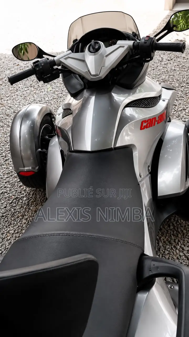 Voiture 2010 Gris
