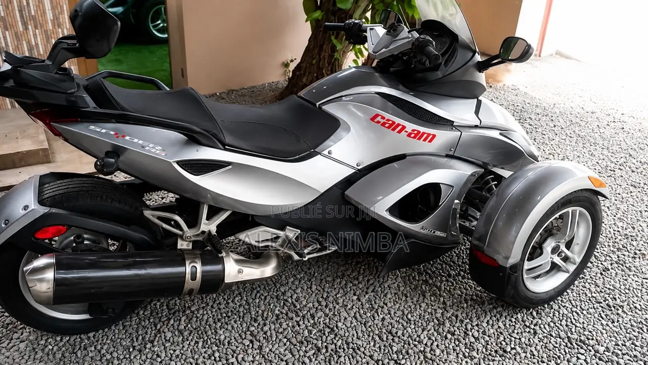 Voiture 2010 Gris