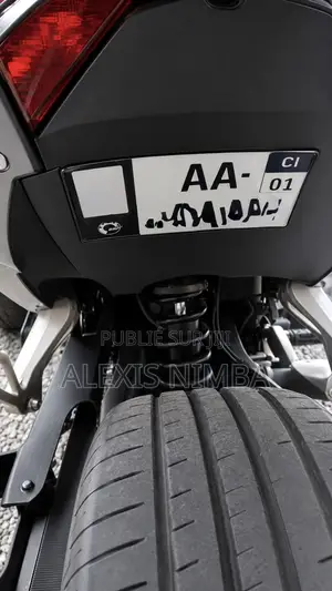 Voiture 2010 Gris