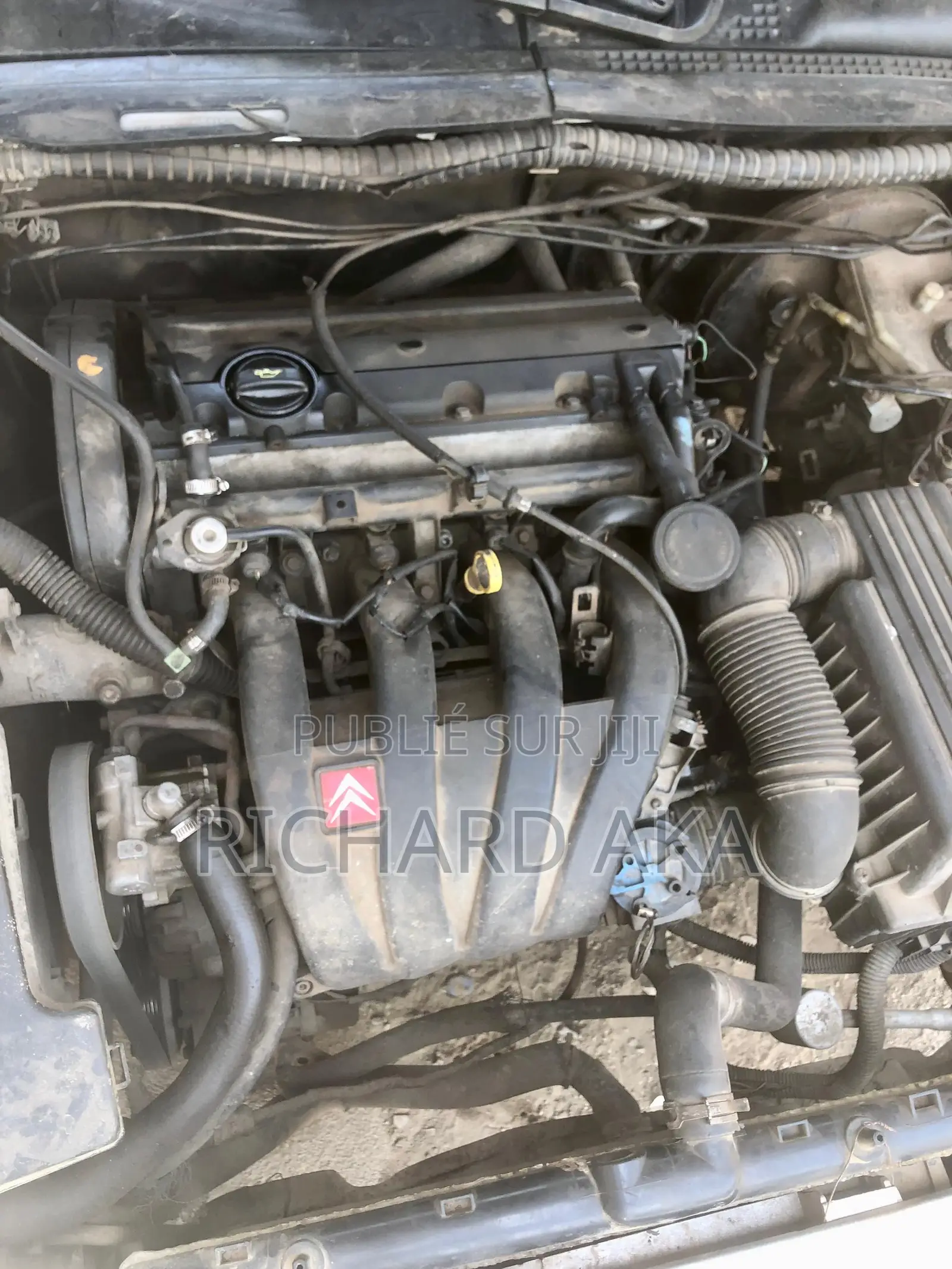 Peugeot 406 2002 Gris
