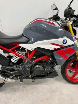 Nouveau BMW G 310 R 2026 Gris