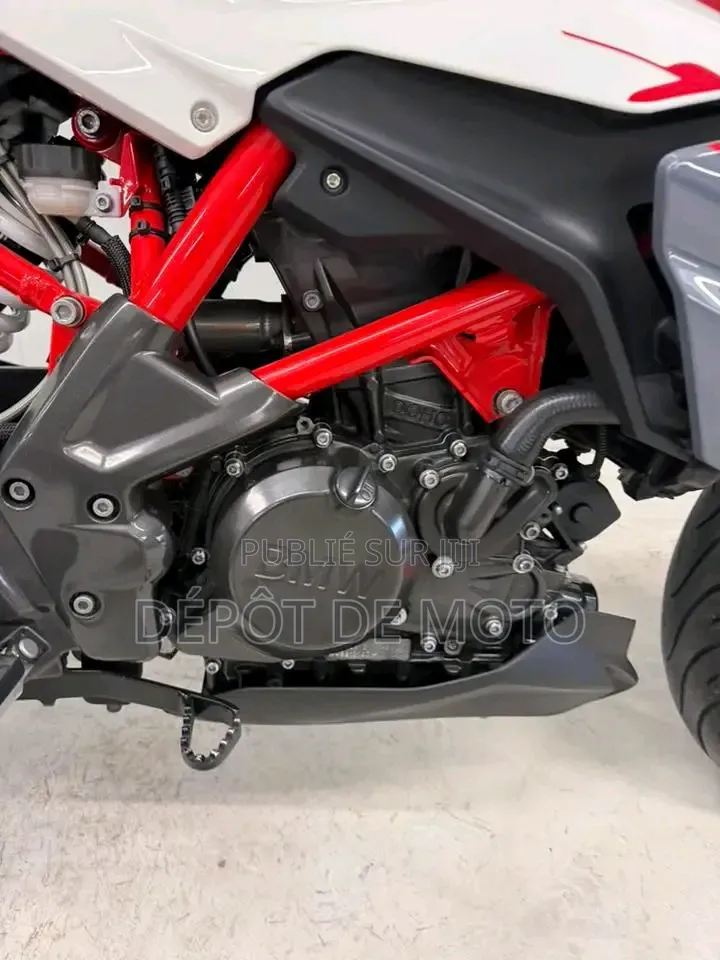 Nouveau BMW G 310 R 2026 Gris