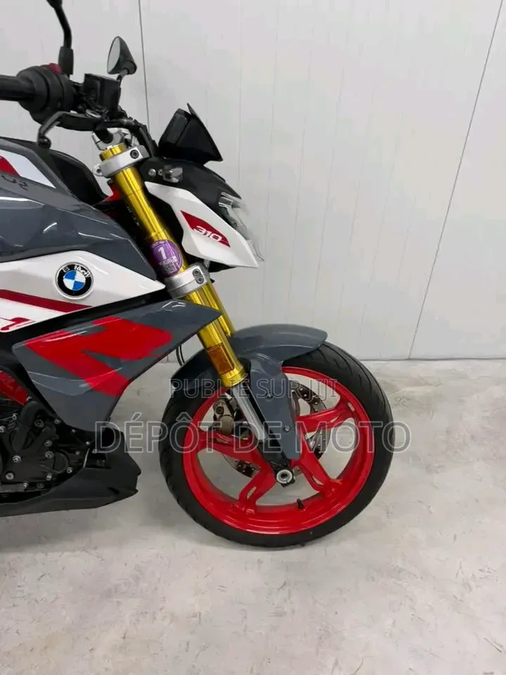Nouveau BMW G 310 R 2026 Gris
