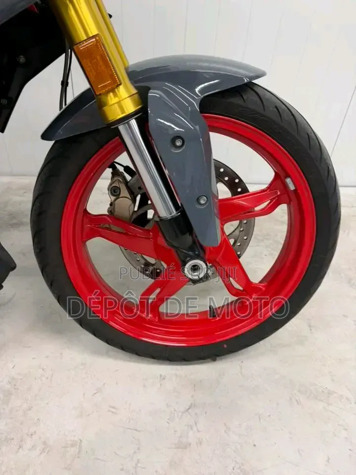 Nouveau BMW G 310 R 2026 Gris