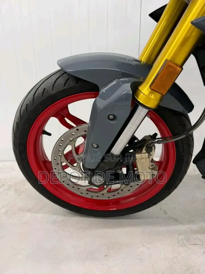 Nouveau BMW G 310 R 2026 Gris