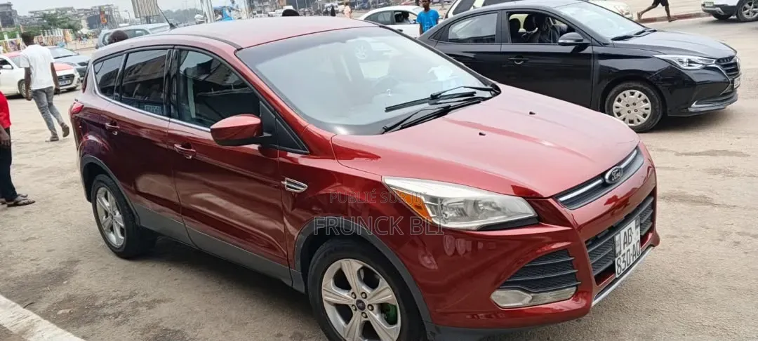 Ford Escape 2014 Rouge