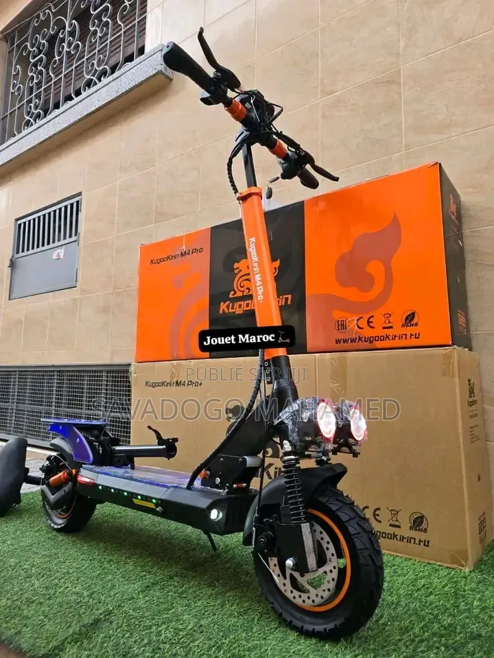 Vélo Électrique