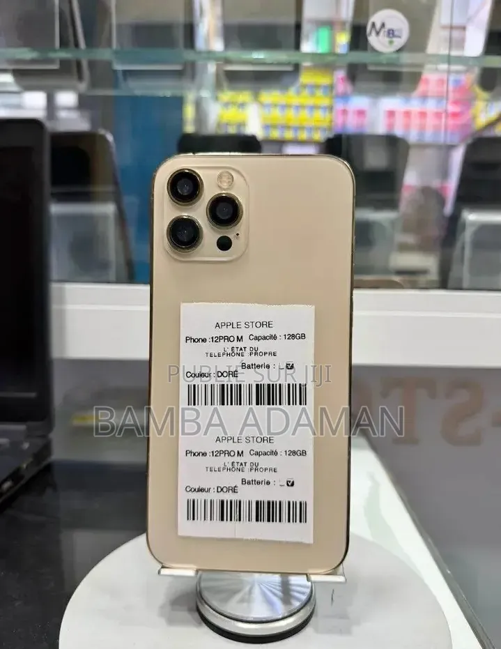 Nouveau Apple iPhone 12 Pro Max 256 GB Gris