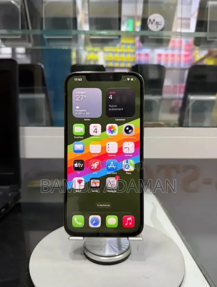 Nouveau Apple iPhone 12 Pro Max 256 GB Gris