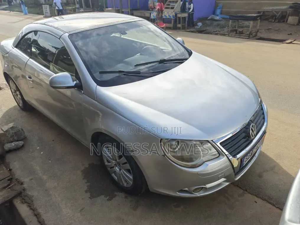 Volkswagen Eos 2007 Gris