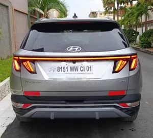 Hyundai Tucson Limited 2022 Gris
