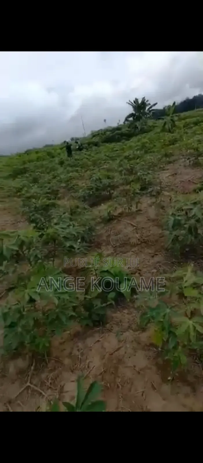 Terrain 250m2 Avec Acd en Vente À Bonoua