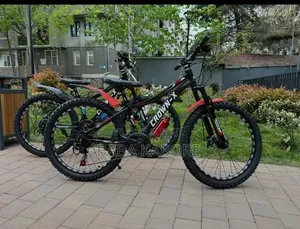 Vélo Électrique