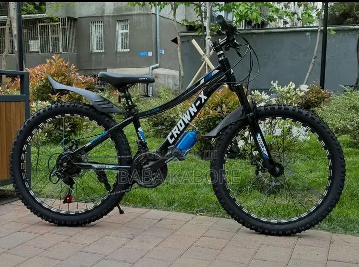 Vélo Électrique