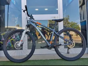 Vélo Électrique