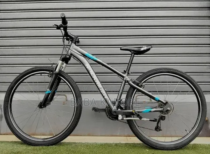 Vélo Électrique
