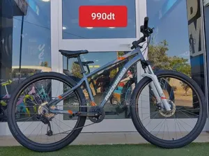 Vélo Électrique