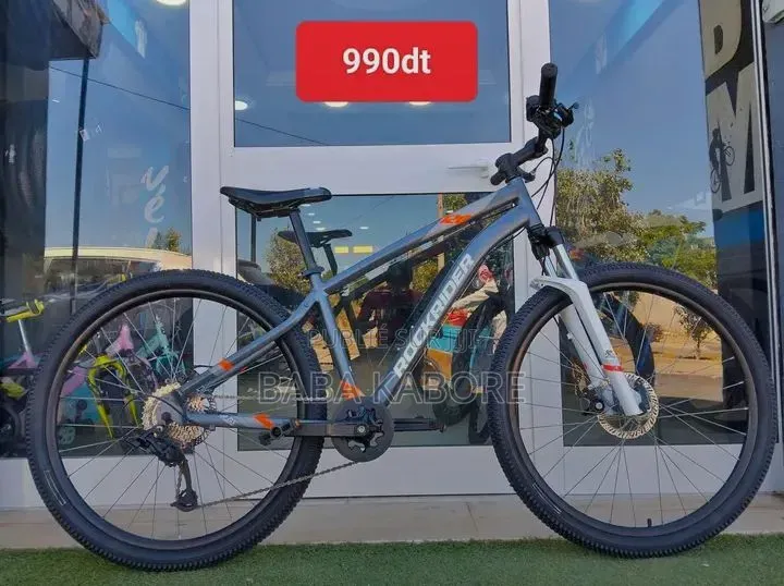 Vélo Électrique